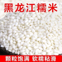 东北新磨新圆粒糯米黑龙江糯米白江米粘米东北圆粒五谷粽子糍