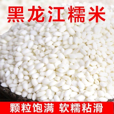 东北新磨新圆粒糯米黑龙江糯米白江米粘米东北圆粒五谷粽子糍