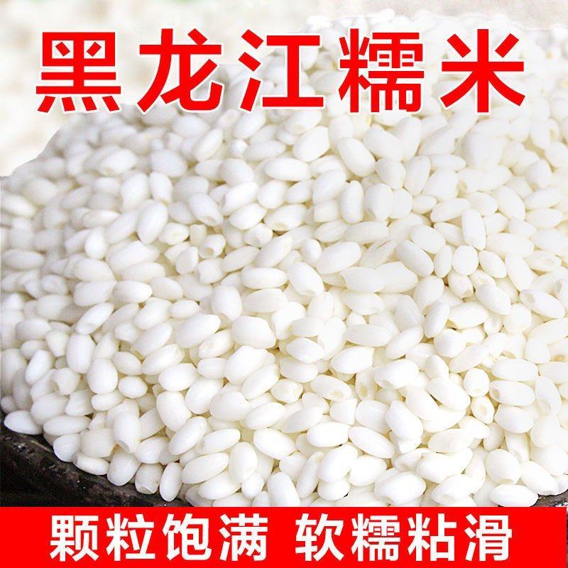 东北新磨新圆粒糯米黑龙江糯米白江米粘米东北圆粒五谷粽子糍