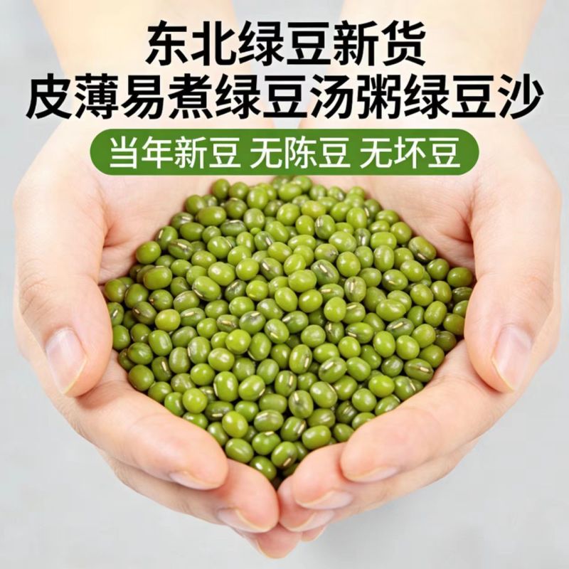 东北绿豆25年东北新货农家新鲜小绿豆发豆芽煮粥汤