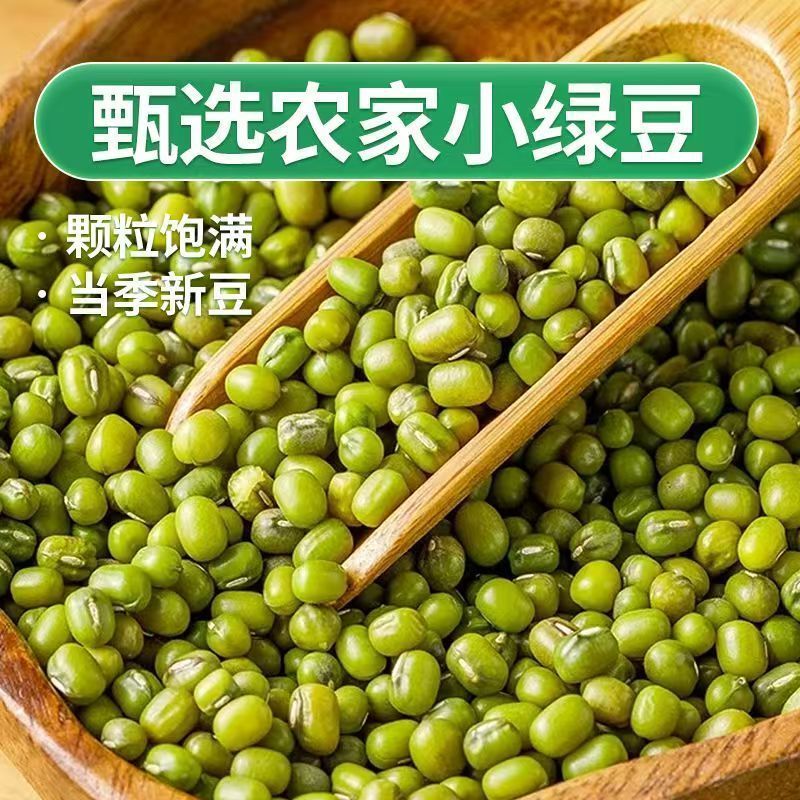 东北绿豆25年东北新货农家新鲜小绿豆发豆芽煮粥汤
