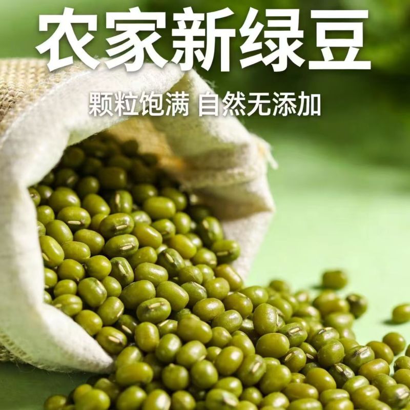 东北绿豆25年东北新货农家新鲜小绿豆发豆芽煮粥汤