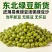 东北绿豆25年东北新货农家新鲜小绿豆发豆芽煮粥汤