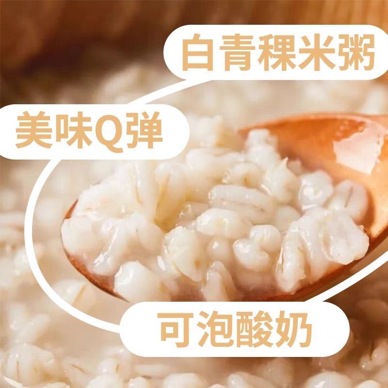 白青稞米青海高原谷物优质西藏青稞低脂五谷杂粮大麦仁粗粮新