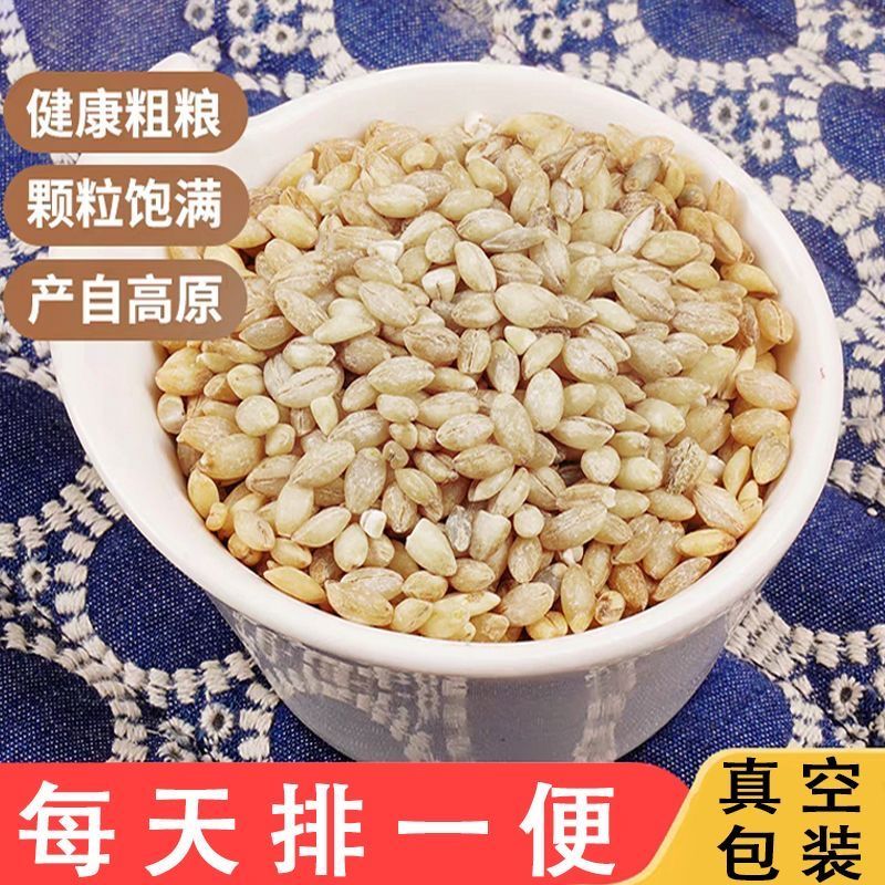 白青稞米青海高原谷物优质西藏青稞低脂五谷杂粮大麦仁粗粮新