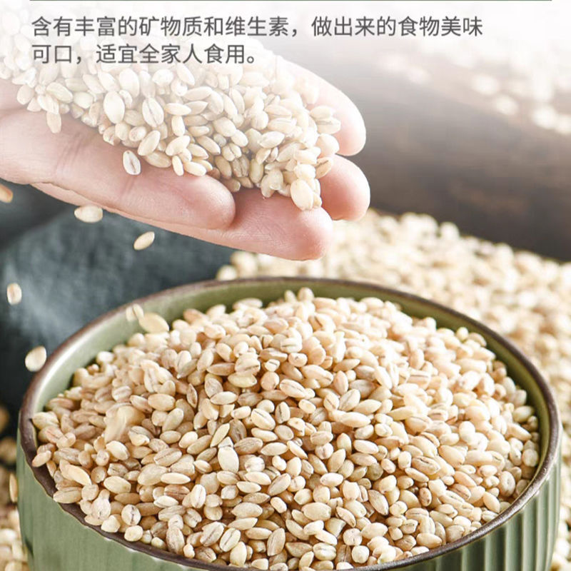 白青稞米青海高原谷物优质西藏青稞低脂五谷杂粮大麦仁粗粮新