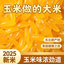 正宗东北黄金新米玉米现磨大米粗粮伴侣五谷杂粮农家特产黄色