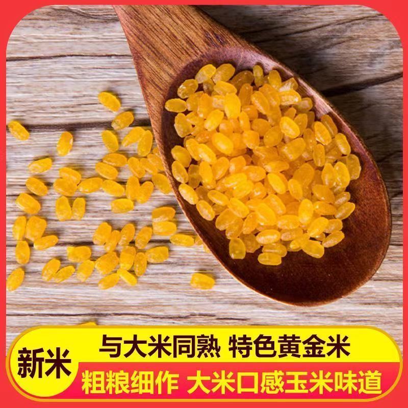 正宗东北黄金新米玉米现磨大米粗粮伴侣五谷杂粮农家特产黄色