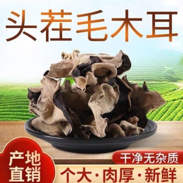 【优选】头茬毛木耳水发菜、泡水毛木耳产地直销