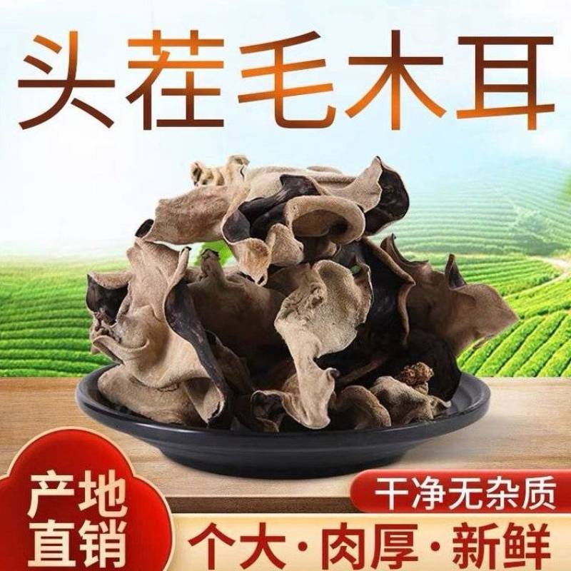 【优选】头茬毛木耳水发菜、泡水毛木耳产地直销