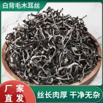 2026二茬木耳丝，电商木耳丝毛木耳丝批发，木耳丝