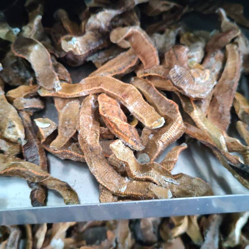 菲牛蛭冻干粉菲牛蛭冻干条天然水蛭素
