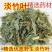 淡竹叶四川竹叶草苦竹叶新鲜中药材竹叶无硫无杂质云南野