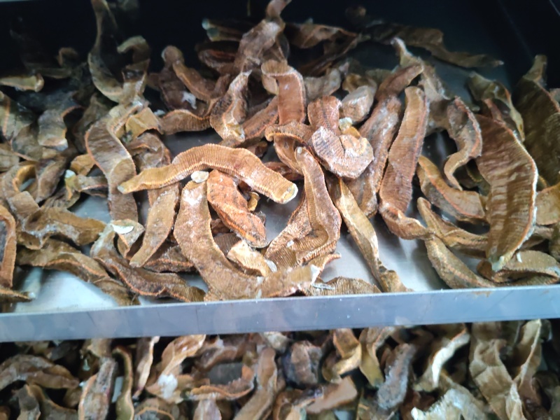 菲牛蛭冻干粉菲牛蛭冻干条天然水蛭素