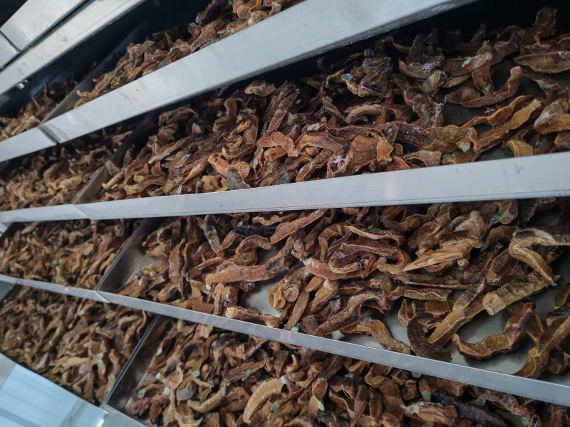 菲牛蛭冻干粉菲牛蛭冻干条天然水蛭素