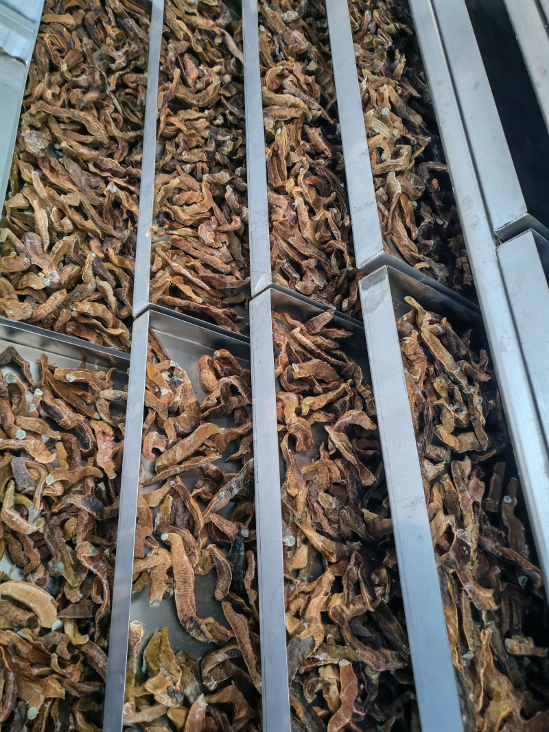 菲牛蛭冻干粉菲牛蛭冻干条天然水蛭素
