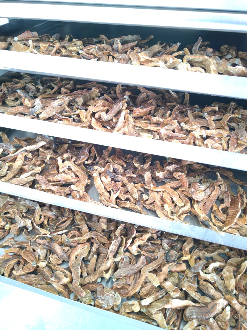 菲牛蛭冻干粉菲牛蛭冻干条天然水蛭素