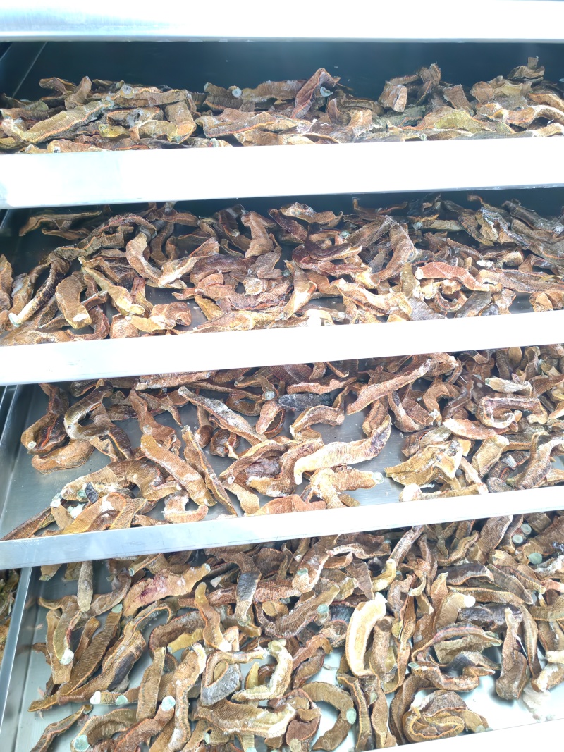 菲牛蛭冻干粉菲牛蛭冻干条天然水蛭素