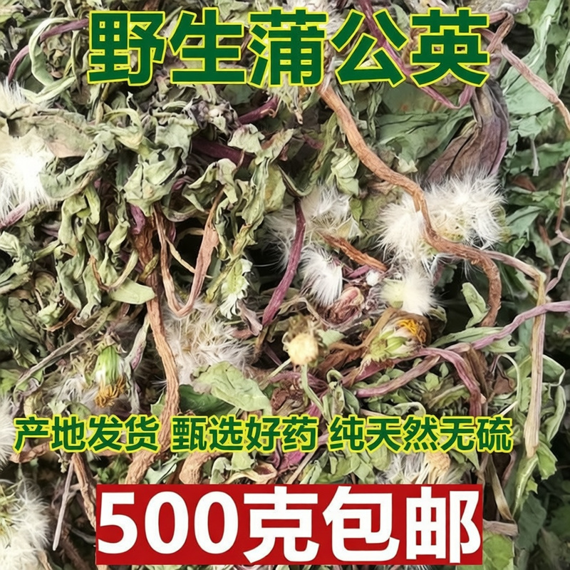 野生蒲公英天然晒干切片泡茶特级新货蒲公英茶婆婆丁养生茶