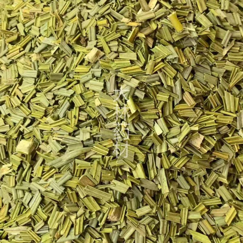 铁树叶【包邮】三斤起发货可批量可零售量大从优