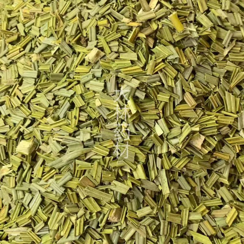 铁树叶【包邮】三斤起发货可批量可零售量大从优