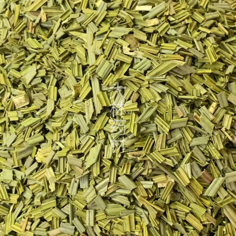 铁树叶【包邮】三斤起发货可批量可零售量大从优