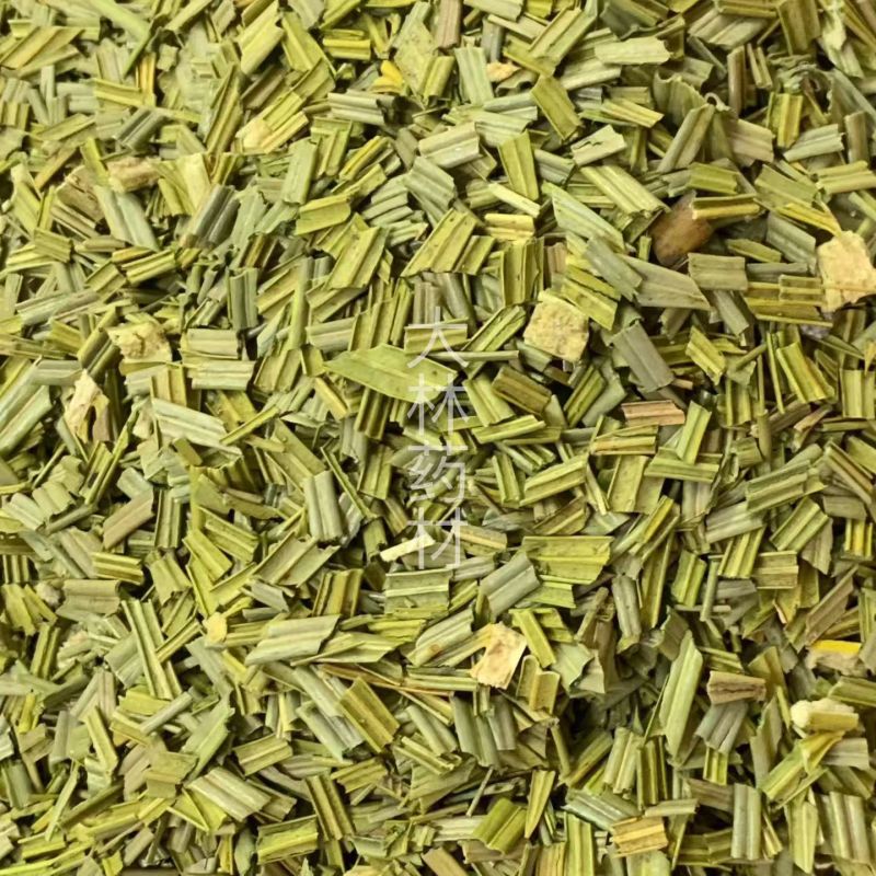 铁树叶【包邮】三斤起发货可批量可零售量大从优