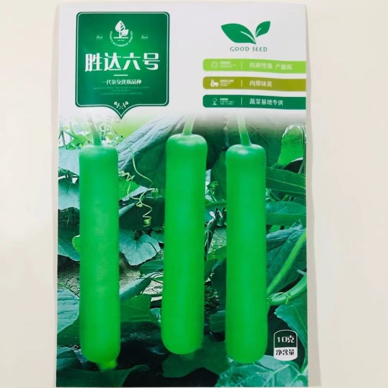 纯丰清香瓠子瓜早生长瓠瓜种子瓠子蒲瓜油亮长棒型蔬菜
