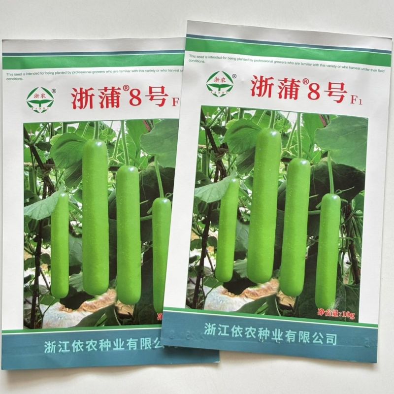 纯丰清香瓠子瓜早生长瓠瓜种子瓠子蒲瓜油亮长棒型蔬菜