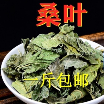 正品中药材霜后桑叶包邮新鲜晒干***干青冬桑叶