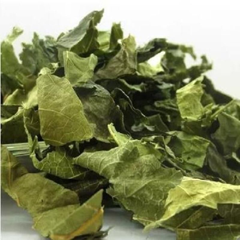 正品中药材霜后桑叶包邮新鲜晒干***干青冬桑叶