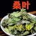正品中药材霜后桑叶包邮新鲜晒干***干青冬桑叶
