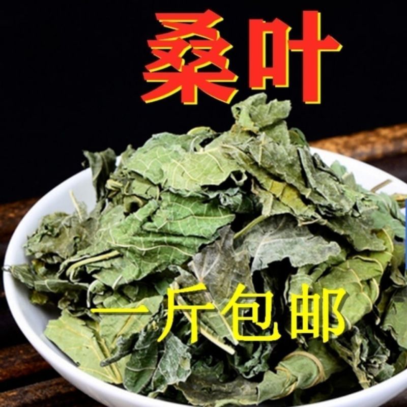 正品中药材霜后桑叶包邮新鲜晒干***干青冬桑叶