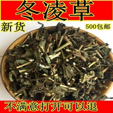 冬凌草中草药袋装当季无硫冬凌草中药材野生无杂质散装干燥颜