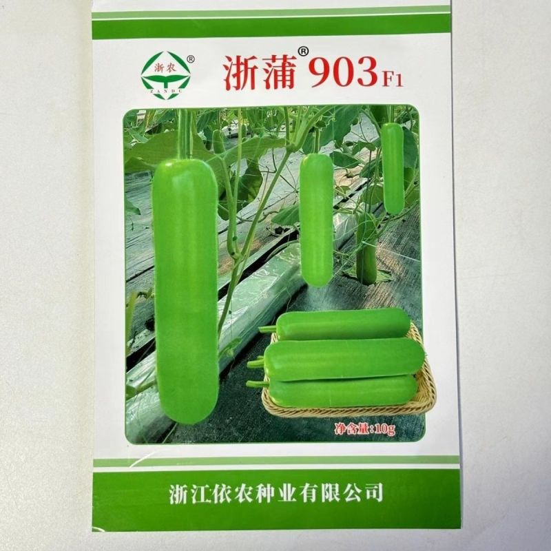 纯丰清香瓠子瓜早生长瓠瓜种子瓠子蒲瓜油亮长棒型蔬菜
