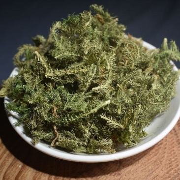 野生伸筋草中药材无硫原生态伸筋草正品中草药材舒筋草石松狮