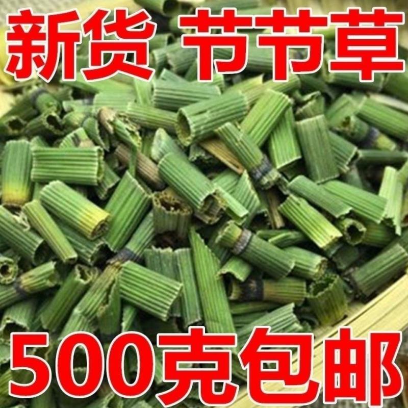 中药材野生木贼笔管木贼草节节草节骨草新鲜干货木贼