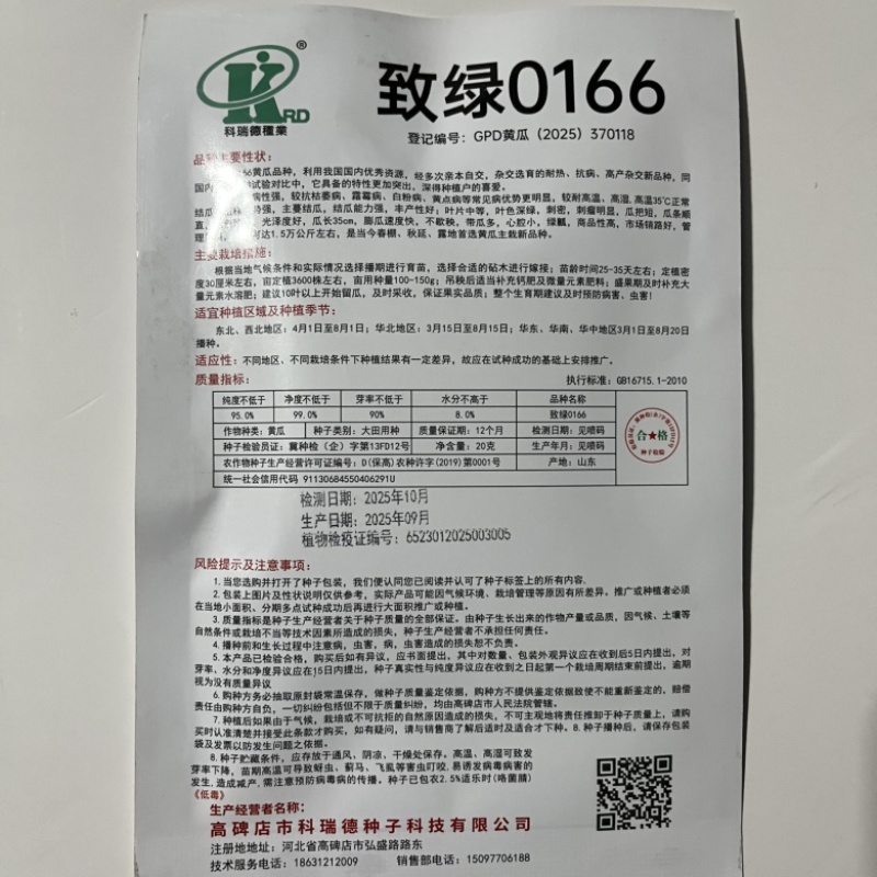 致绿0166黄瓜种子，青瓤耐热品种种子现货供应