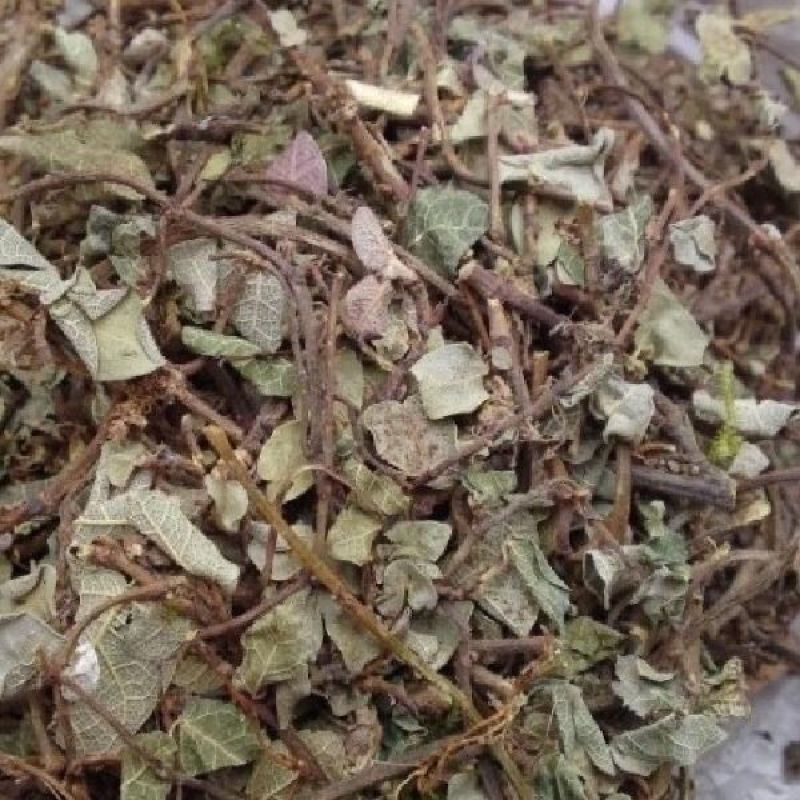 络石藤作用中药材络石藤野生络石云白花藤落石藤洛石藤络石草