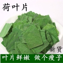 中药材荷叶块干荷叶减脂大肚子包邮高血压荷叶块散装泡水新货