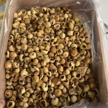 鸟啄果新货价格合适AAA和AA各规格齐全