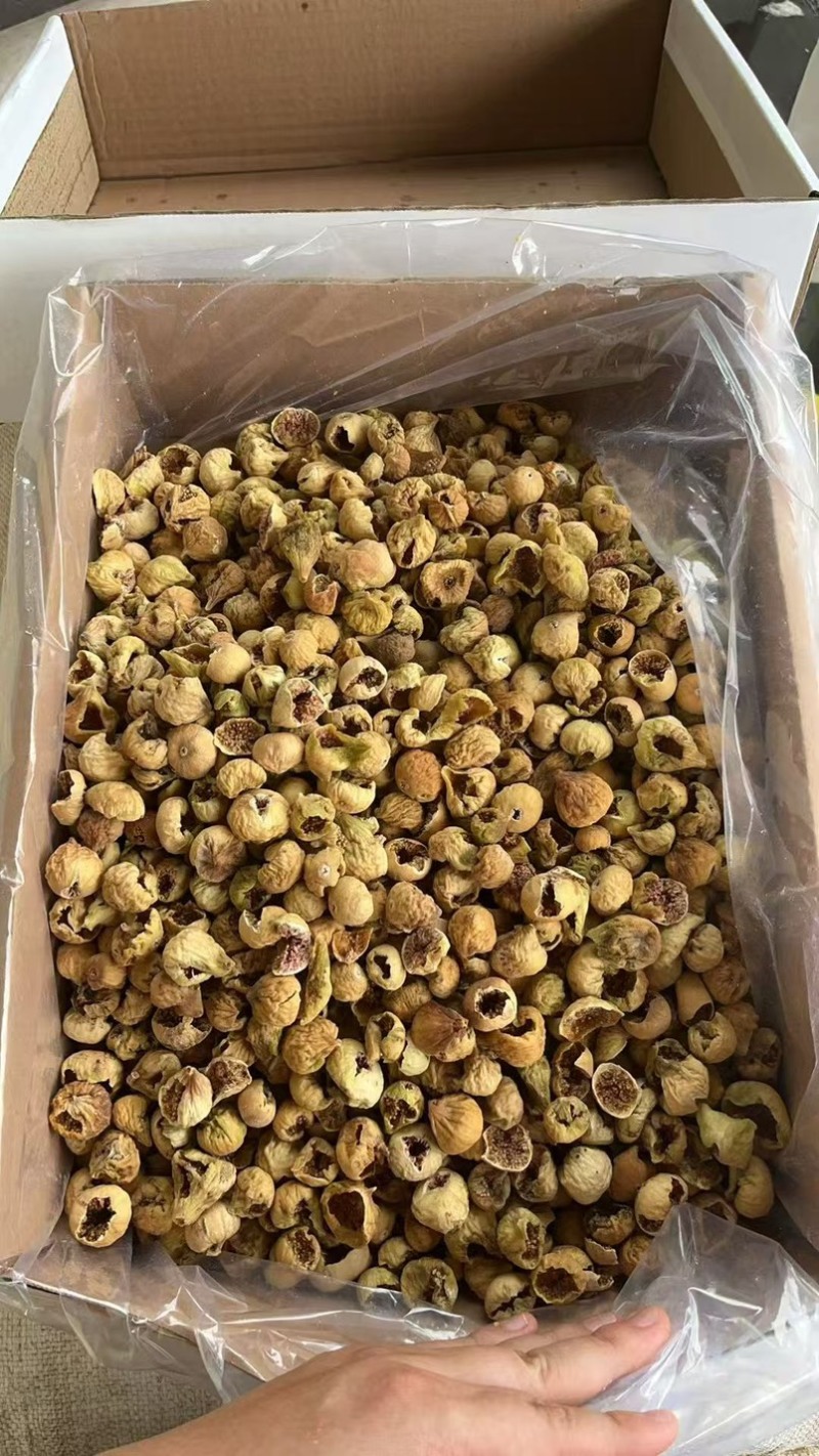 鸟啄果新货价格合适AAA和AA各规格齐全