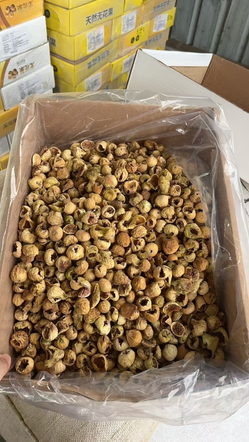 鸟啄果新货价格合适AAA和AA各规格齐全