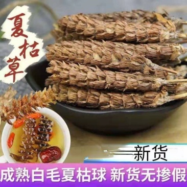 ***夏谷球夏谷草野生中药材无硫无杂质优质白毛夏古球夏谷