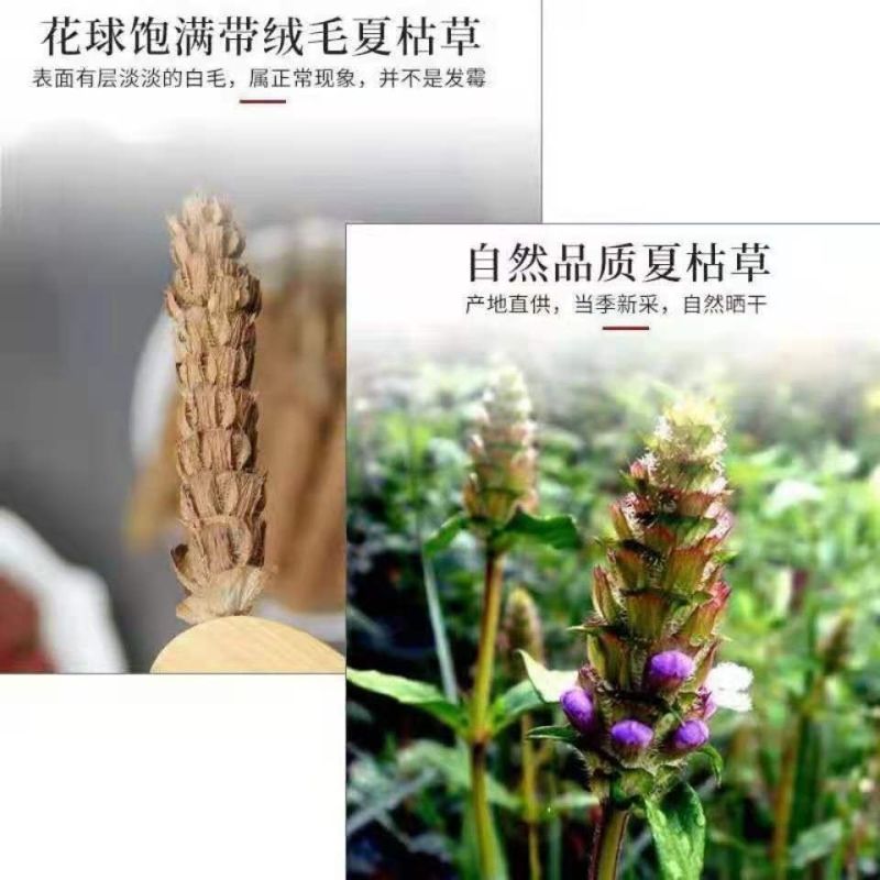 ***夏谷球夏谷草野生中药材无硫无杂质优质白毛夏古球夏谷