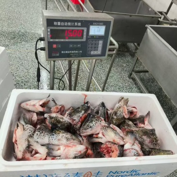 工厂直销，三文鱼边角碎肉，褐色肉，大鱼头鱼骨，