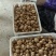 【推荐】湖北恩施精品马尔科小土豆产地一手货源