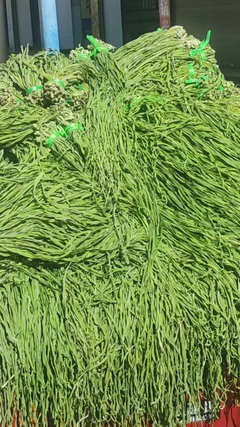 精品优质贡菜，量大从优，产地直发，欢迎选购