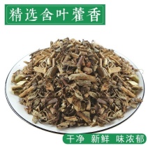 藿香中药材藿香叶新鲜藿香粉晒干藿香叶藿香佩兰茶野生广藿香