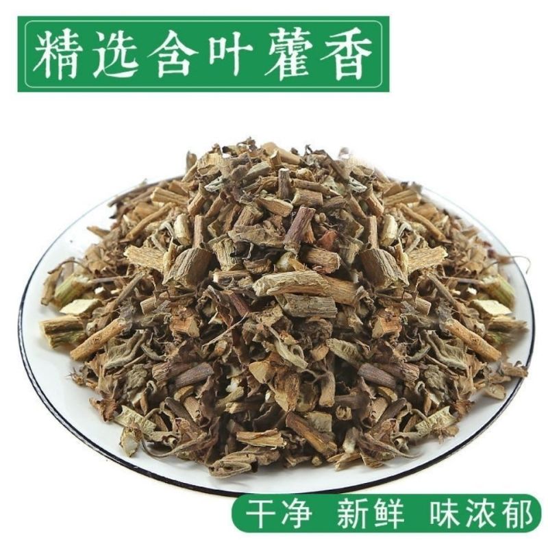 藿香中药材藿香叶新鲜藿香粉晒干藿香叶藿香佩兰茶野生广藿香